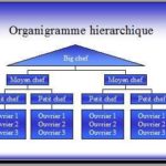 L’organigramme